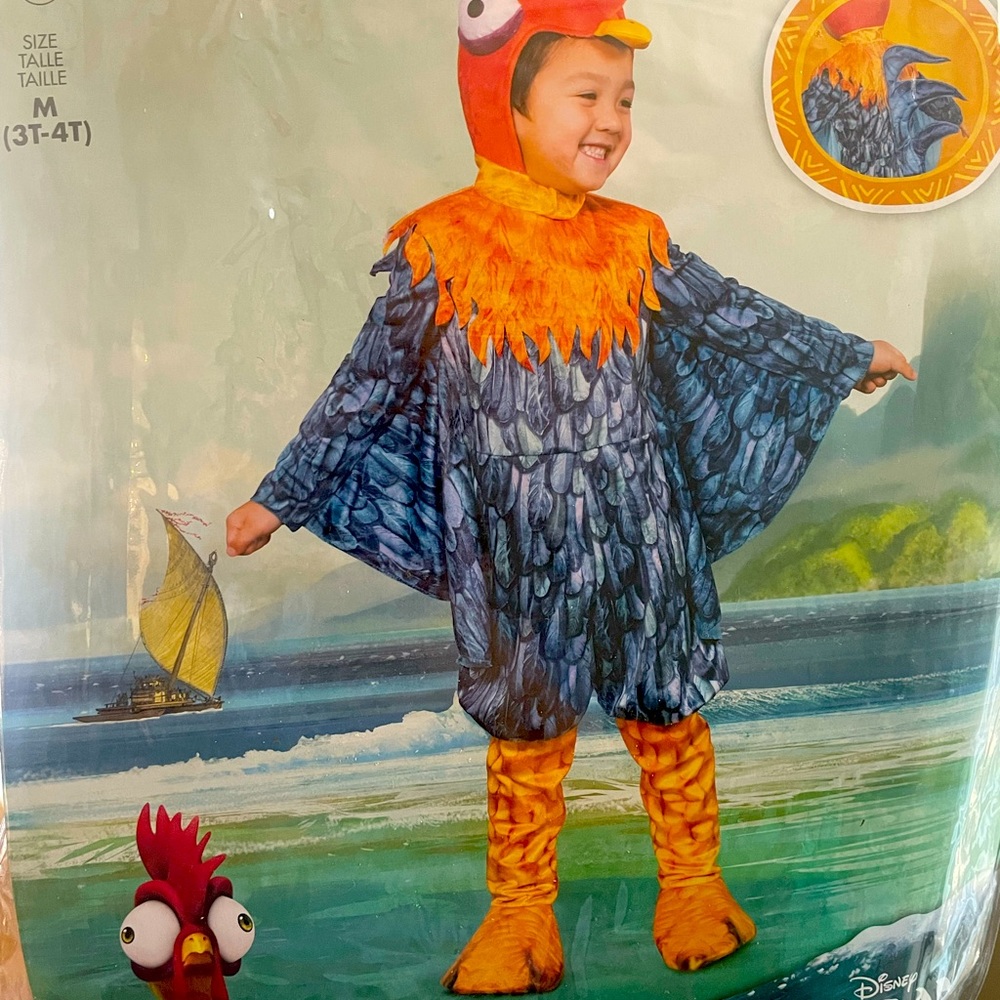 Disney Hei Hei costume